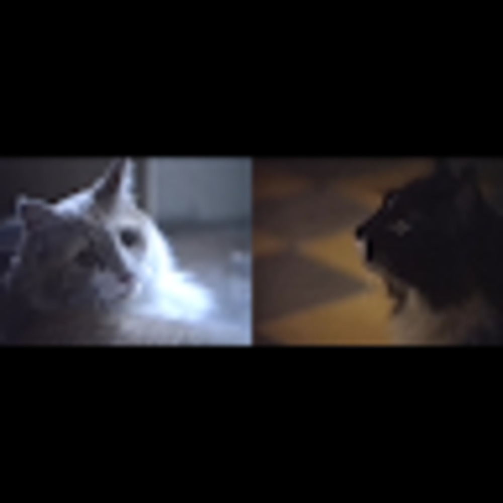 Meet your Posher, Patrick